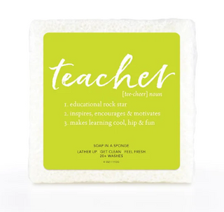 Teacher Soap Sponge