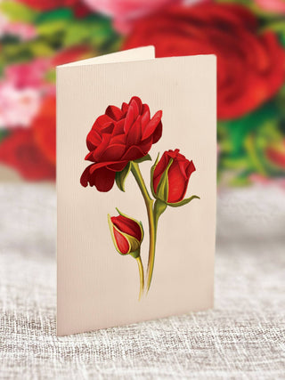 Mini Blooming Roses Pop-up Greeting Cards