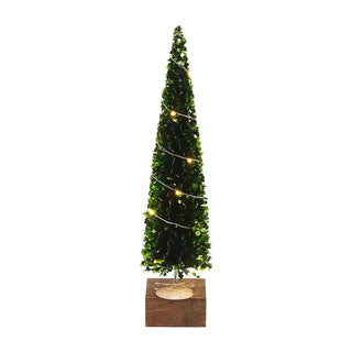 Light Up Boxwood Tree