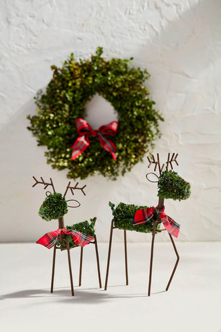 Boxwood Reindeer Sitter