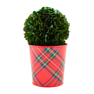 Boxwood Tartan Pot