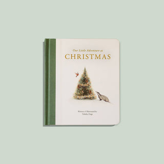 Our Little Adventure at Christmas (Baby's first Christmas)