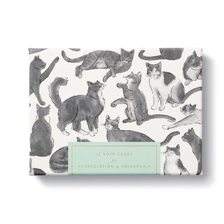 Appreciation & Friendship Note Cards
