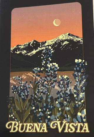 Lupines Buena Vista Journal