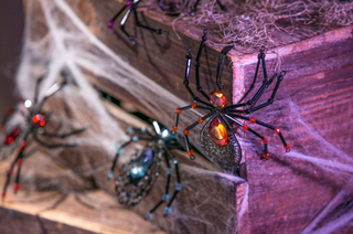 Spider Ornaments