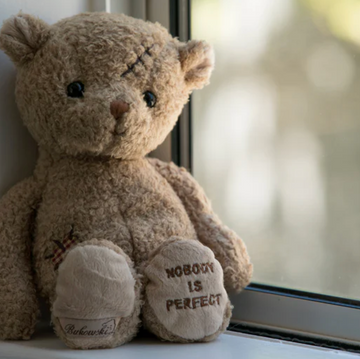 Nobody Is Perfect Bear – The View Cafe & Gifts