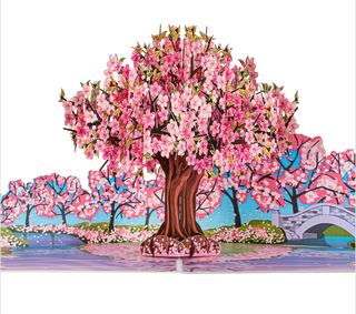 Cherry Blossom Tree Pop Up Card