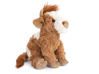 Madison The Highland Cow