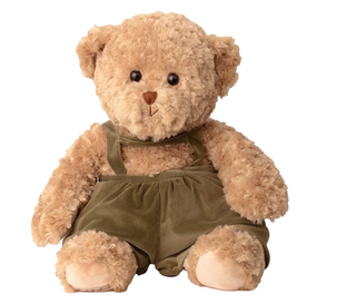 The Great Winter Anton Bear