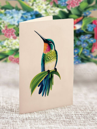 Mini Hummingbird Oasis Pop Up Greeting Card