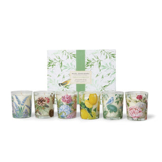 Favorite Fragrances Votive Sampler Gift Set