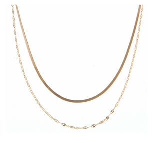 2 Layer Dainty Gold Snake & Oval Necklace