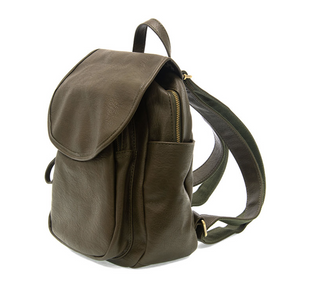Blaire Multi Pocket Secure Backpack